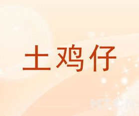 土雞仔商標轉(zhuǎn)讓推薦信息與網(wǎng)絡(luò)信息轉(zhuǎn)讓指南
