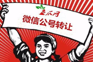 今日頭條賬號審核不通過或被封禁的應對策略與網(wǎng)絡信息轉讓注意事項